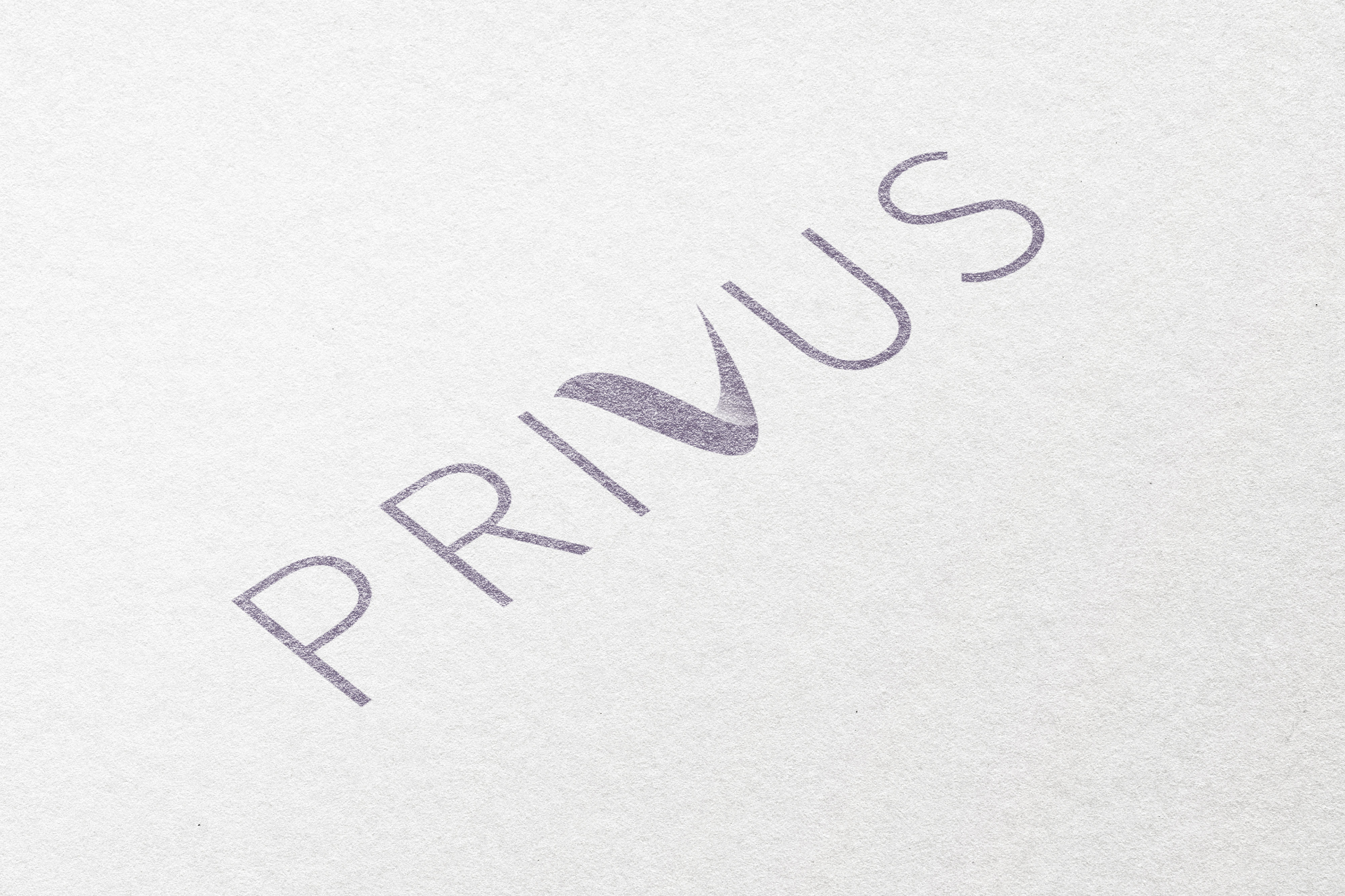 Privus logo variant